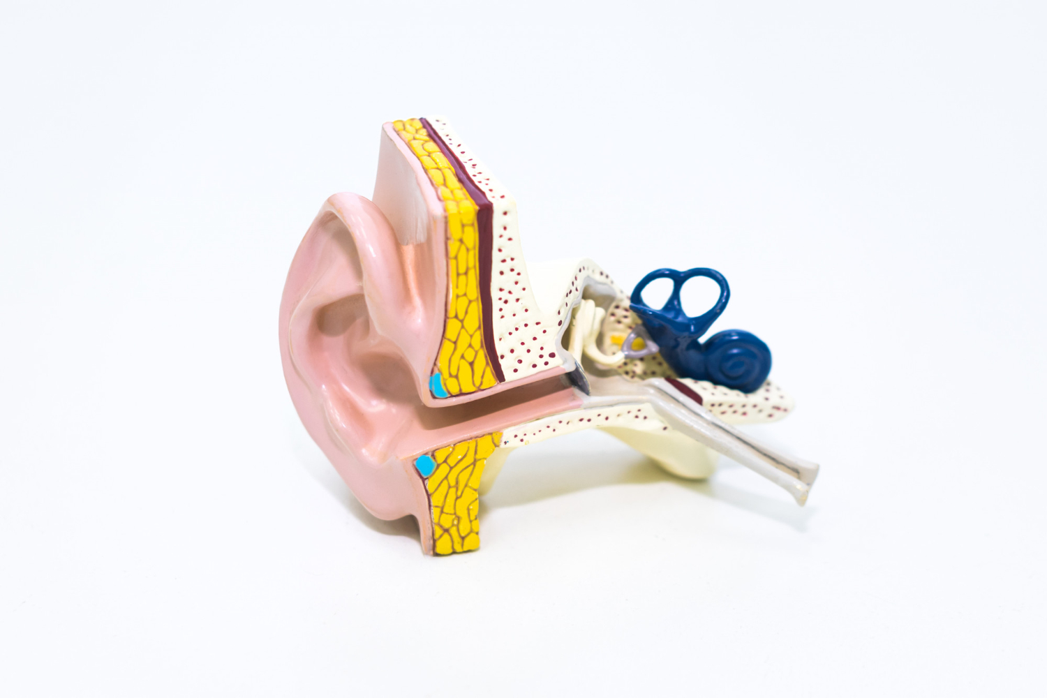 Ear wax removal kit Barnet